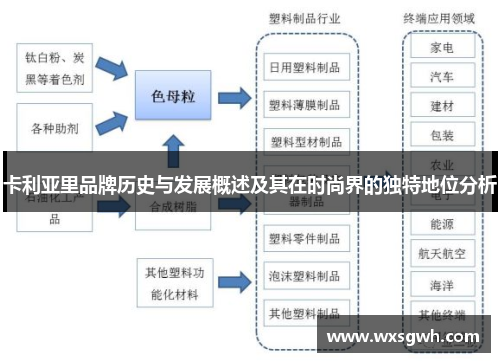 卡利亚里品牌历史与发展概述及其在时尚界的独特地位分析